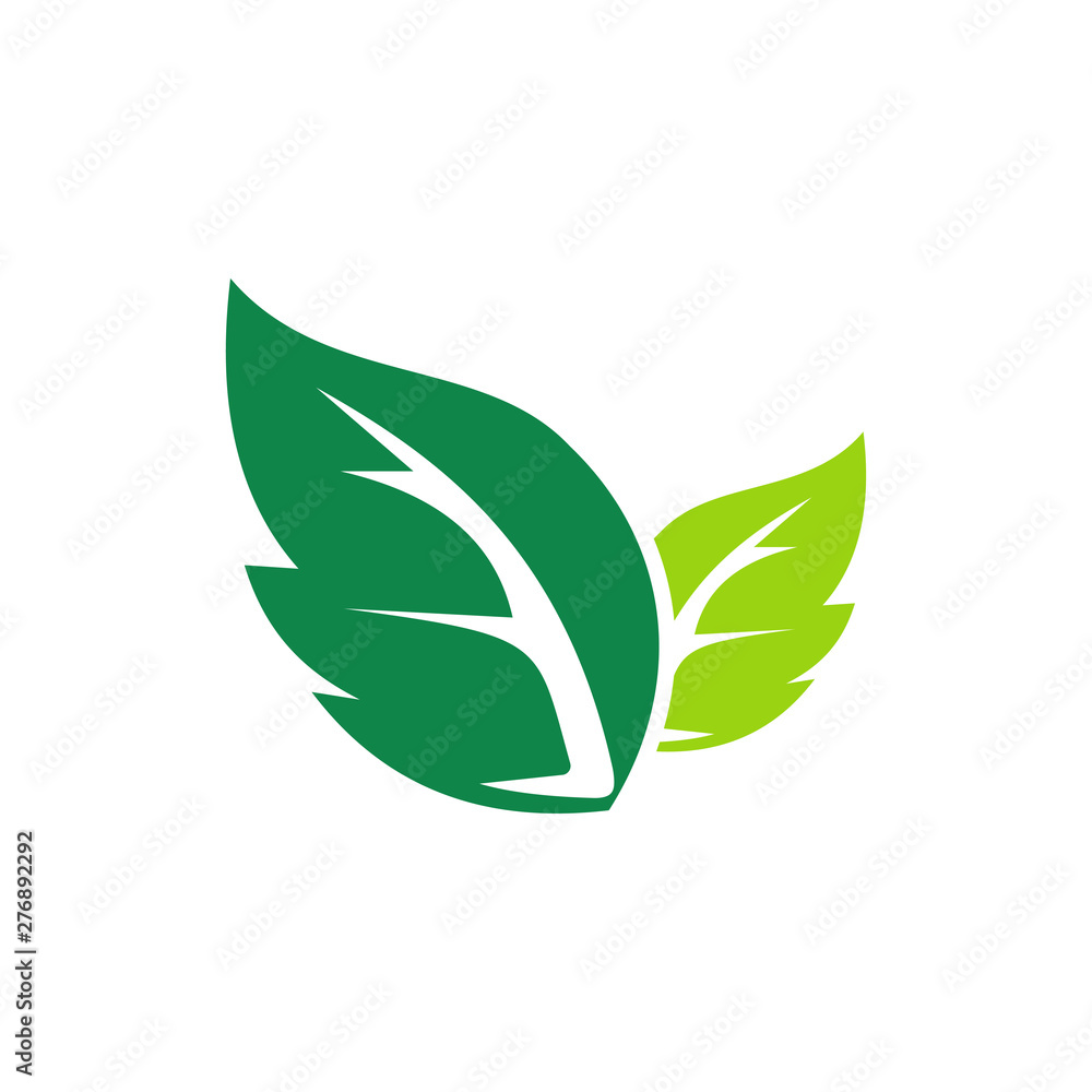 Ecology Green Leaf symbol icon vector illustration Ecology Green Leaf symbol icon vector illustration