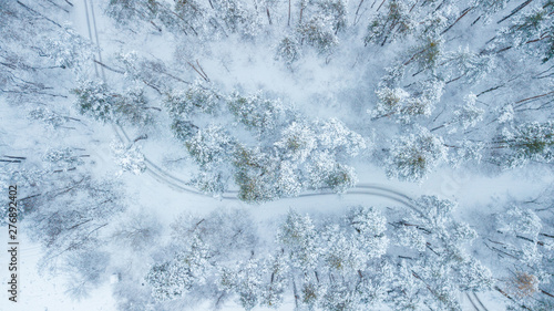 Aerial view of evergreen Christmass pine forest from above. bird's eye, drone shot. amazing natural winter background