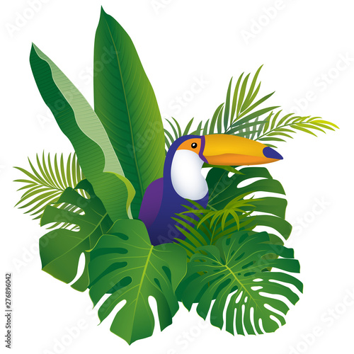 Tropical exotic bird toucan on monstera and palm leaves background