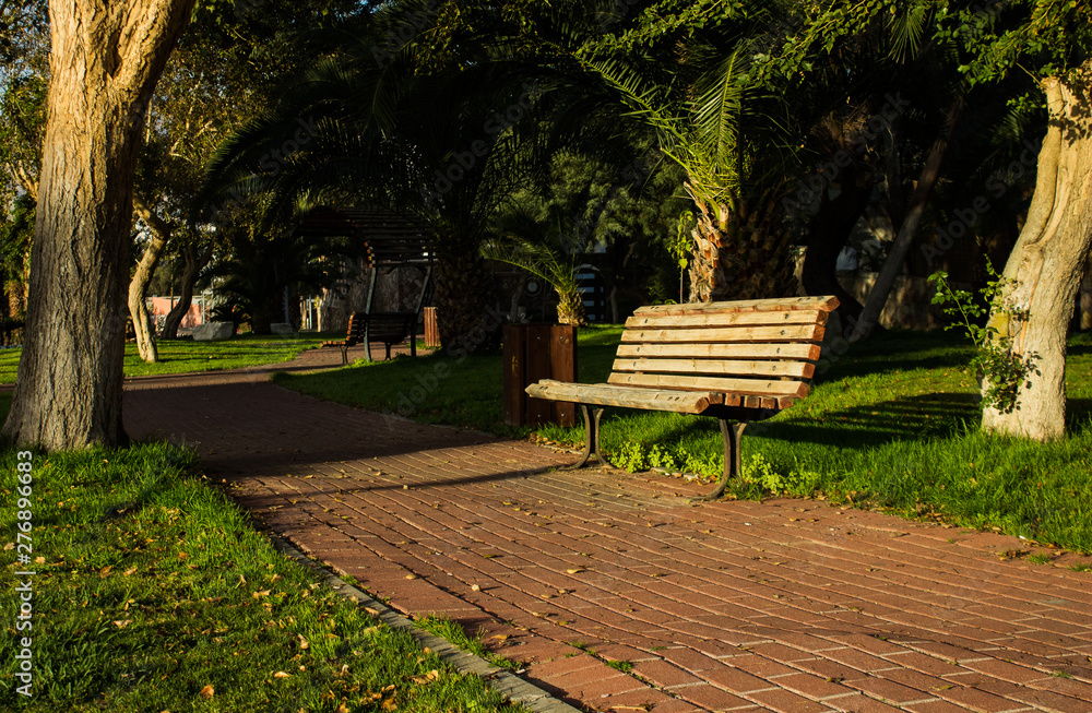 wooden bench in park outdoor sunny natural environment with lonely road for walking 