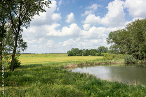 View on a typical landscape in the Netherlands. A perfect dutch sky with beautiful clouds, trees, a pond and green grass. Ideal area for walking, hiking, relaxing and cycling. Near the Pilgrim's trail