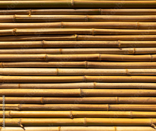 Bamboo twig wall as abstract background