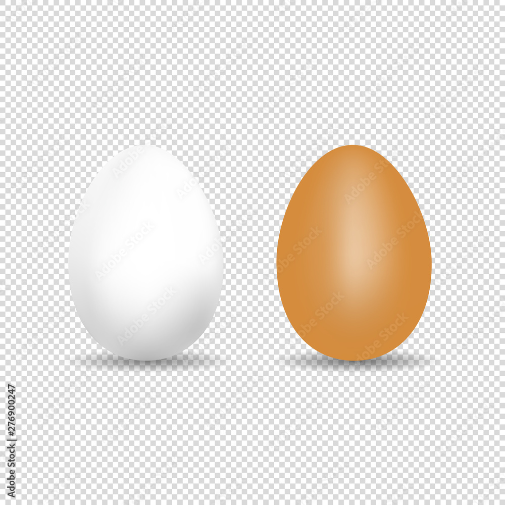Realistic Chicken Egg - White And Brown Vector Template With Shadow - Isolated On Transparent Background Realistic Chicken Egg - White And Brown Vector Template With Shadow - Isolated On Transparent Background