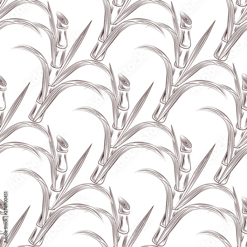 Cultivate sugar cane stalks with leaves seamless pattern.