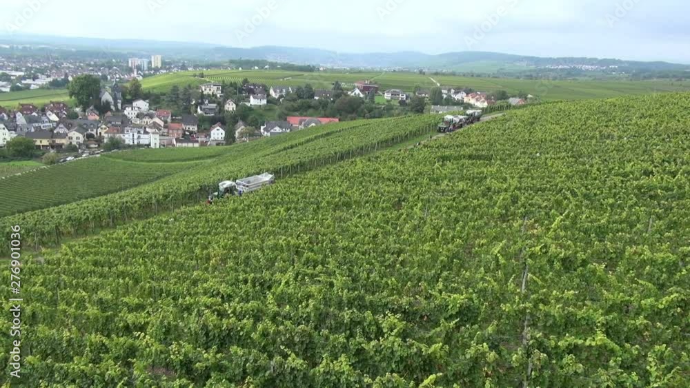 tractors with workbodies drive along track in summer fields with growing plants against town aerial view tractors with workbodies drive along track in summer fields with growing plants against town aerial view