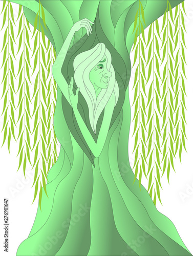 weeping willow in the image of not young women