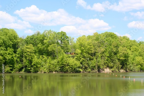 A beautiful view of the lake in the park on a bright sunny day.