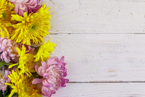 Beautiful chrysanthemums on white wooden background. Top view, copy space