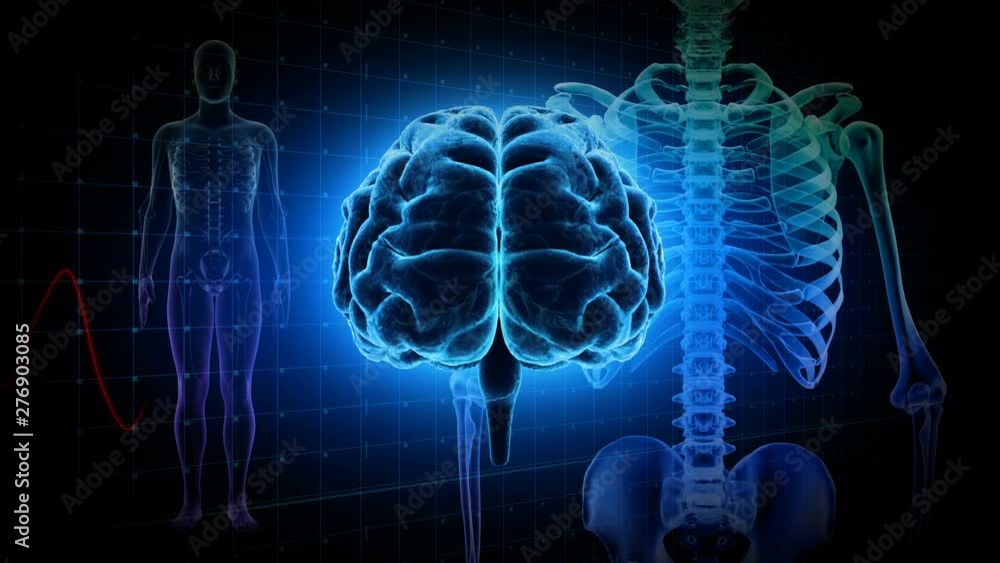 Brain human body anatomy DNA life science concept image Brain human body anatomy DNA life science concept image