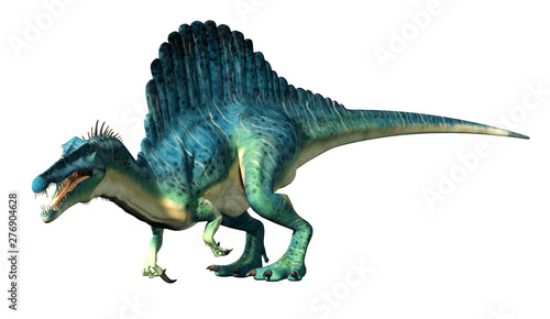 A spinosaurus on a white background. Spinosaurus was semi-aquatic dinosaur from the Cretaceous period. It was one of the largest carnivorous dinos.  3D Rendering