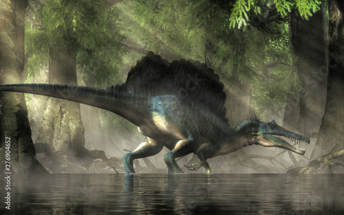 A spinosaurus in a swamp. Spinosaurus was semi-aquatic dinosaur from the Cretaceous period. It was one of the largest carnivorous dinos.  3D Rendering photo