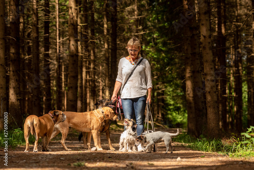 Photography Walk with many dogs on a leash