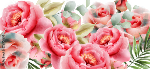 Pink peonies vector watercolor. Summer exotic floral backgrounds