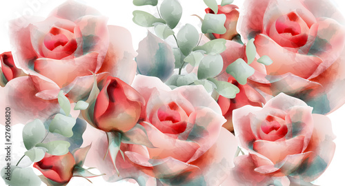 Pink roses vector watercolor. Summer exotic floral backgrounds