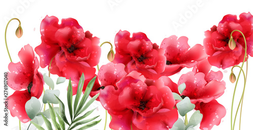 Poppy flowers Vector watercolor. Vintage retro summer red floral backgrounds