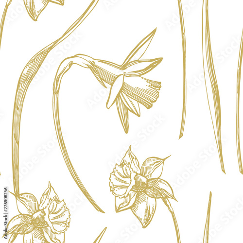 Daffodil or Narcissus flower drawings. Collection of hand drawn black and white daffodil. Hand Drawn Botanical Illustrations. Seamless patterns.