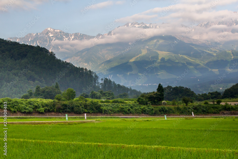 白馬村野平地区から望む早朝の北アルプス／長野県白馬村