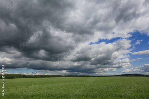 Gray thunderstorm clouds in the blue sky over a green field in summer in Russia