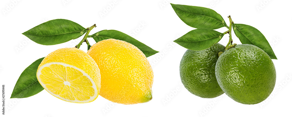 Naklejka Fresh lemon and lime isolated on white background