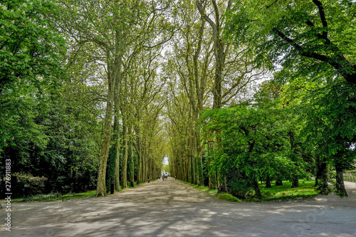 A lovely promenade leading to the Castle Chenonceaux, France.