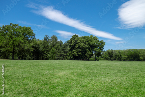 summers day at the park with blues sky open grass field and trees in the background
