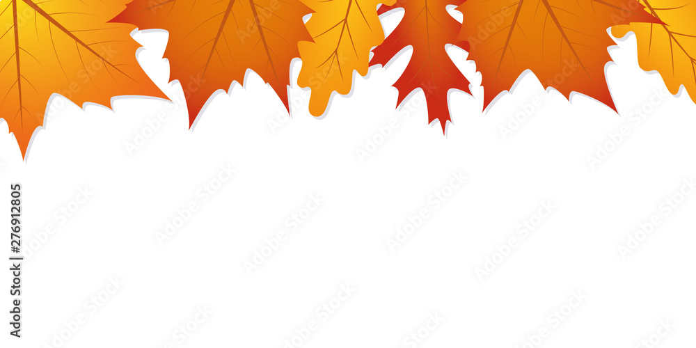 autumn leaves white background with copy space vector illustration EPS10 autumn leaves white background with copy space vector illustration EPS10