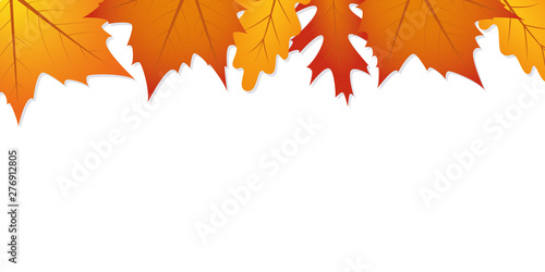 autumn leaves white background with copy space vector illustration EPS10