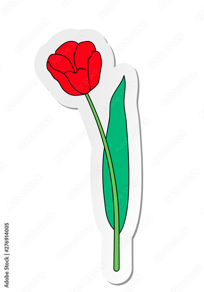 Vector illustration, sticker of red tulip flower in flat cartoon style isolated on white background