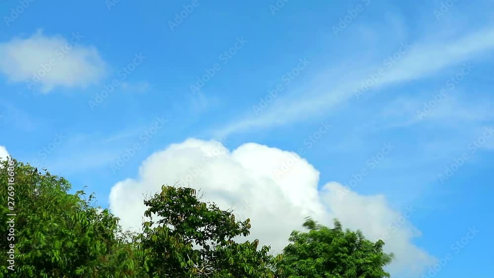 blue sky with pure with white cloud move pass green top tree blue sky with pure with white cloud move pass green top tree