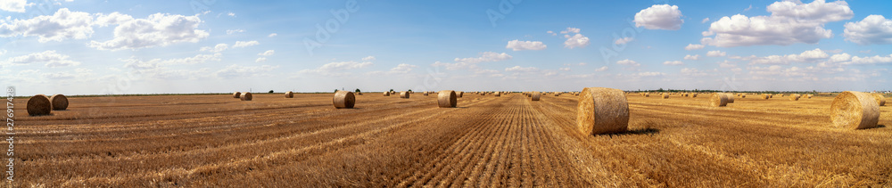 haystacks lie on a field harvesting on a farm