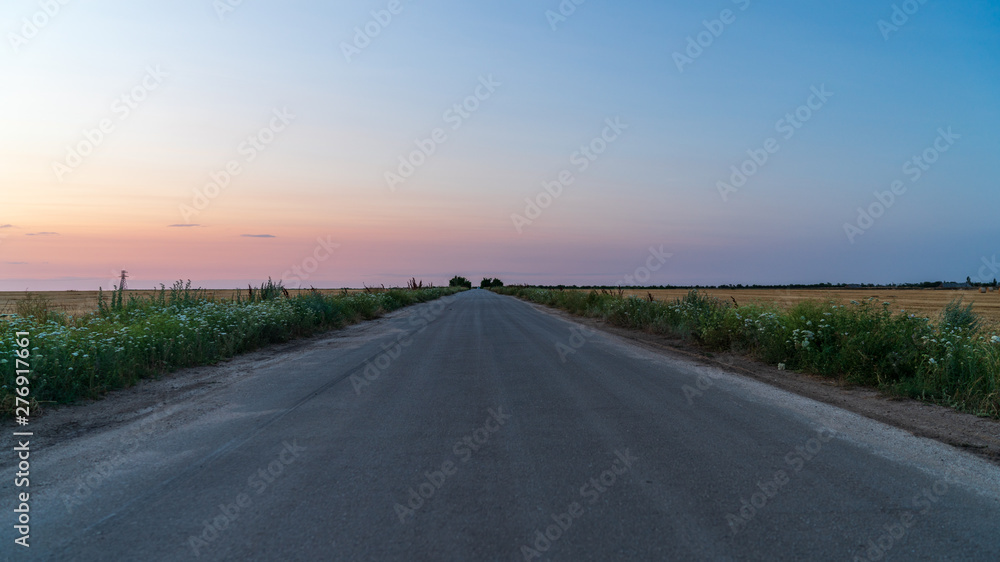 road going to horizon between two fields