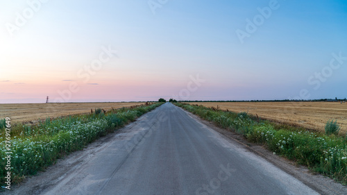 road going to horizon between two fields