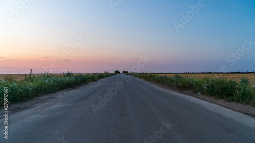 road going to horizon between two fields © Igor
