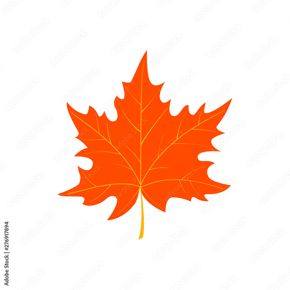 Obraz premium Autumn cartoon leaf isolated on white background
