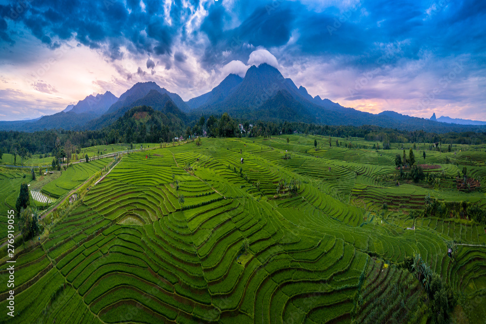 panoramic with the mountain line which is above the green and wide rice fields is taken using sunshine in the tropical weather when it will sunset in bengkulu, indonesia