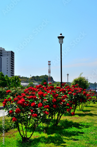 春の公園 神奈川県横須賀市ヴェルニー公園の風景