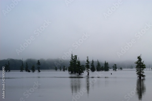 Wallpaper Mural fog over the lake Torontodigital.ca