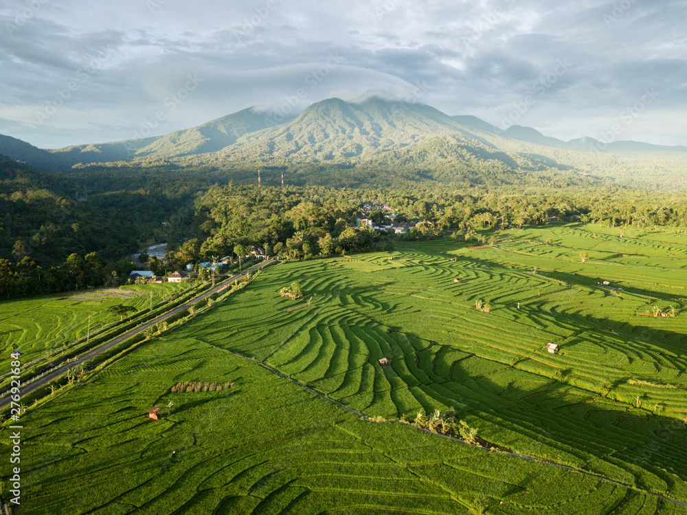 panoramic the mountain line which is above the green and wide rice fields is taken using sunshine in the tropical weather when it will sunset in bengkulu, indonesia