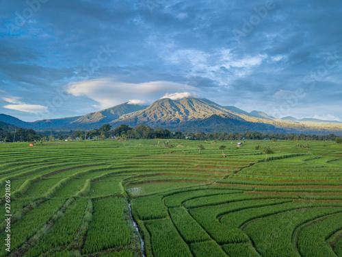 the mountain line which is above the green and wide rice fields is taken using sunshine in the tropical weather when it will sunset in bengkulu, indonesia