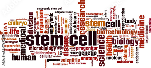 Stem cell word cloud photo