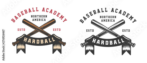 Vintage baseball sport logo, emblem, badge, mark, label. Graphic Art. Illustration. Vector.