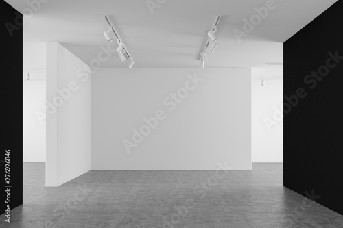 Vászonkép Empty white and black gallery interior