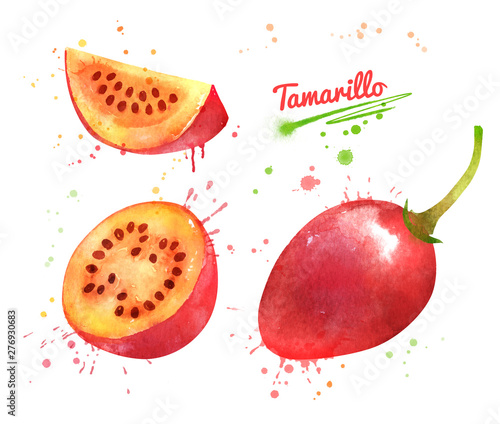 Fototapeta Naklejka Na Ścianę i Meble -  Watercolor illustrations of Tamarillo fruit