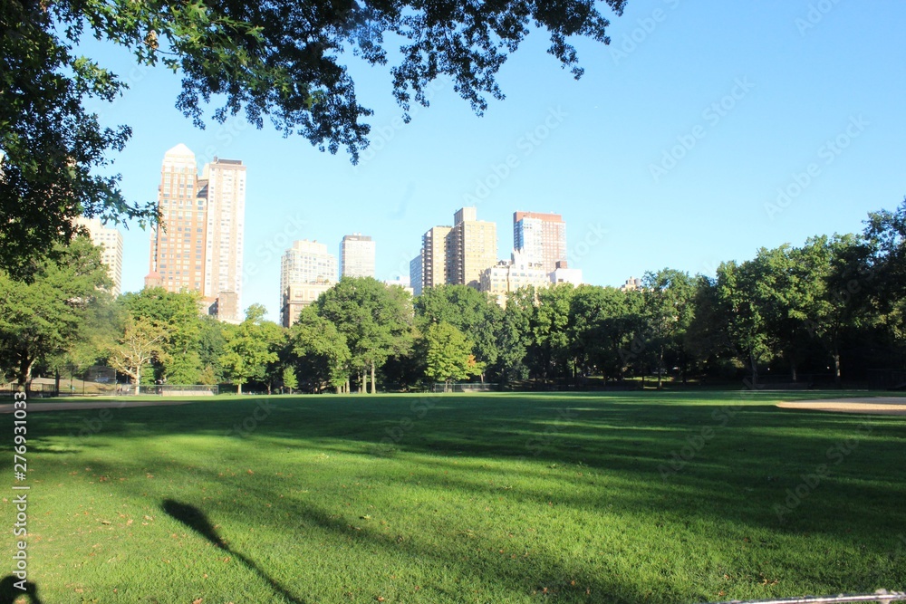 The Awesome Central Park, in New York City