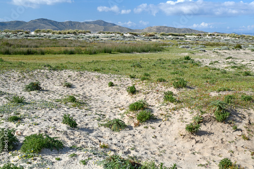 Dünen an der Küste von Kos, Griechenland (im Hintergrund die Insel Pserimos) - Dunes on Kos, Grecce photo