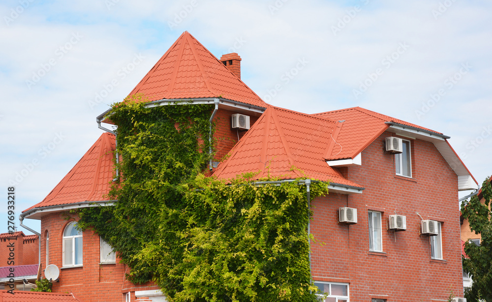 Cozy brick house with wild grapes plants on the facade and rooftop Cozy brick house with wild grapes plants on the facade and rooftop