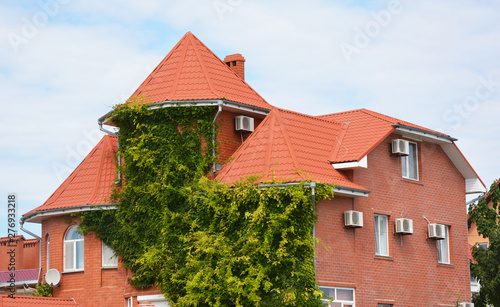 Cozy brick house with wild grapes plants on the facade and rooftop
