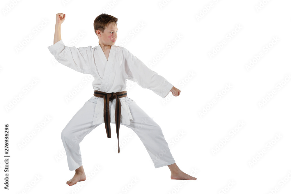 Teenage boy doing martial arts