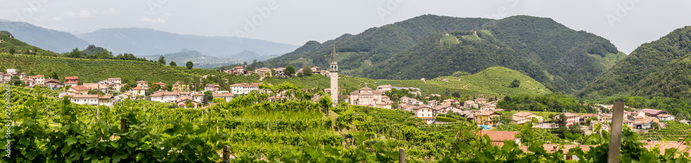 Panorama Santo Stefano village surrounded by vineyards Panorama Santo Stefano village surrounded by vineyards