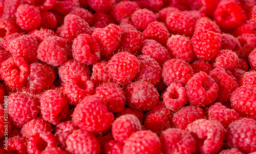 many berries of ripe red raspberry close